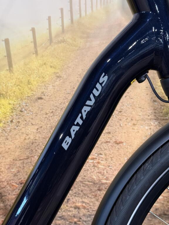 Batavus image 3