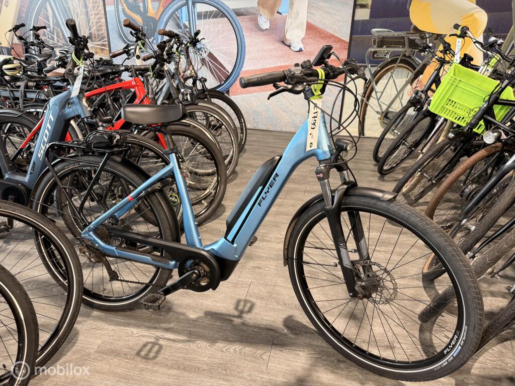 Batavus image 3