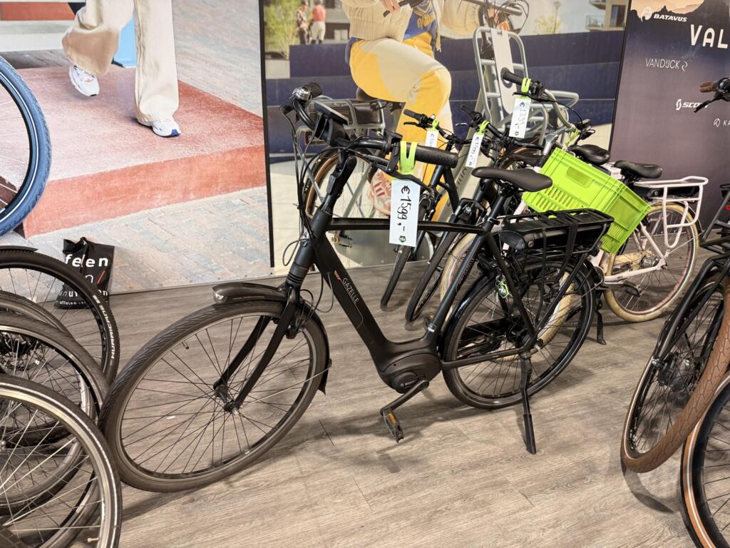 Batavus image 4