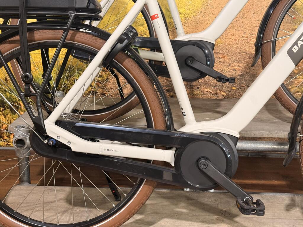 Batavus Altura image 10