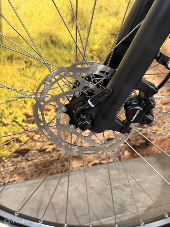 Batavus Altura image 10