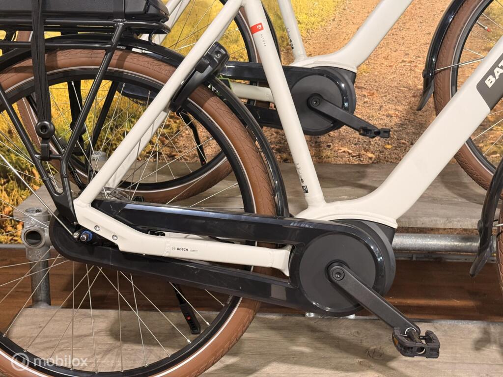 Batavus Altura image 10
