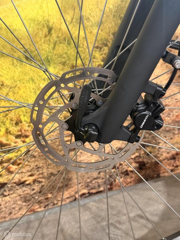 Batavus Altura image 10