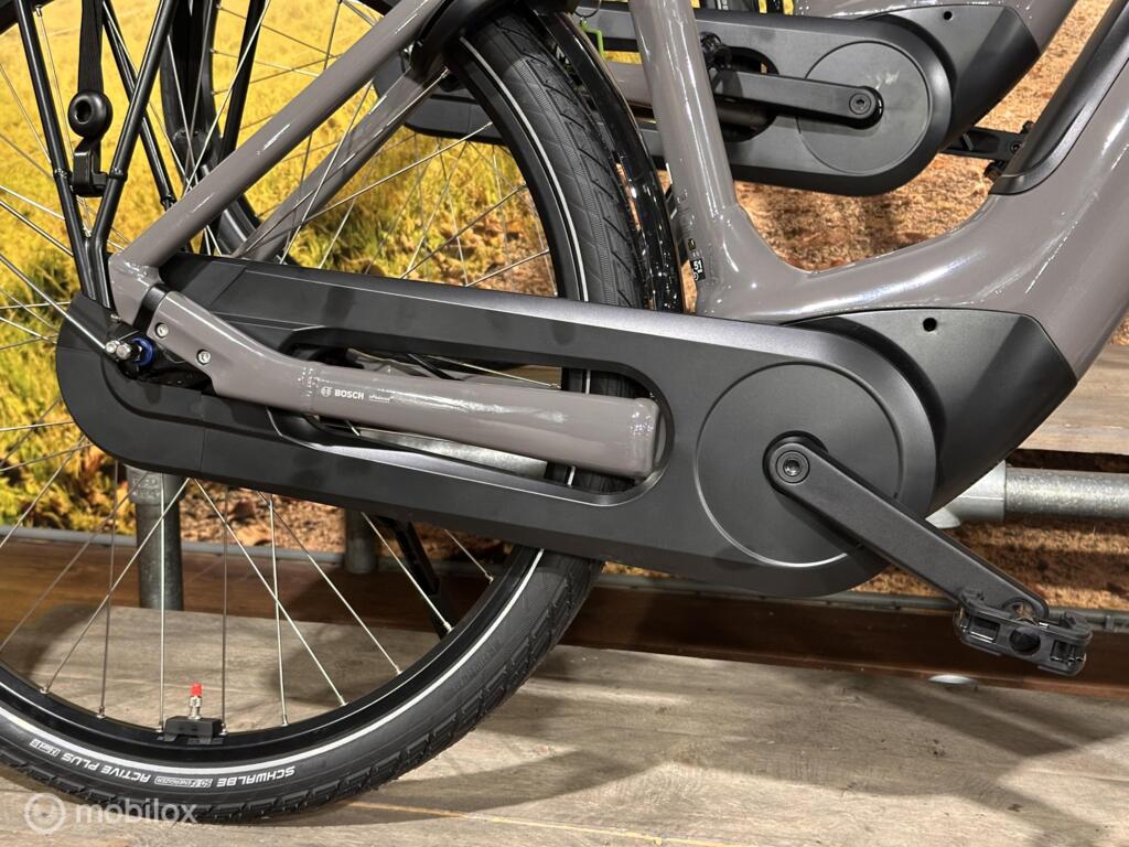 Batavus Altura image 10