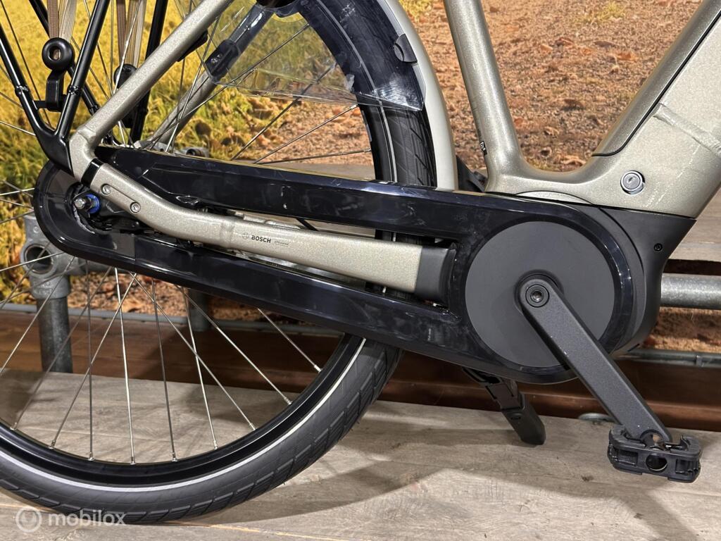 Batavus Altura image 10