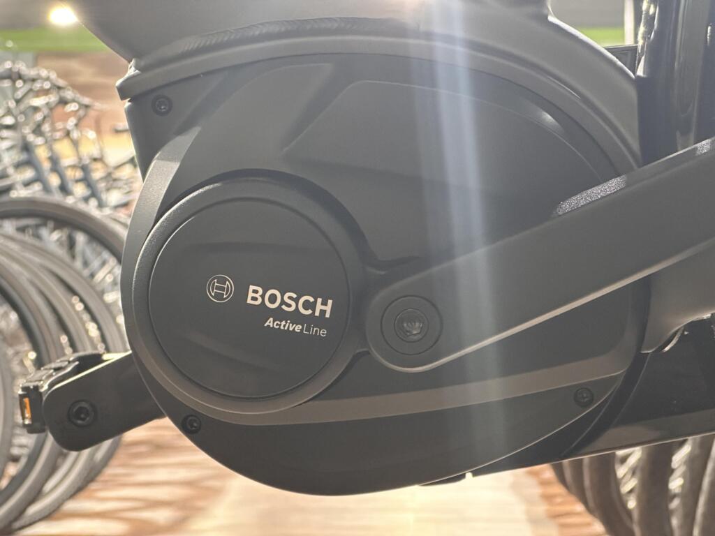 Batavus Altura image 10