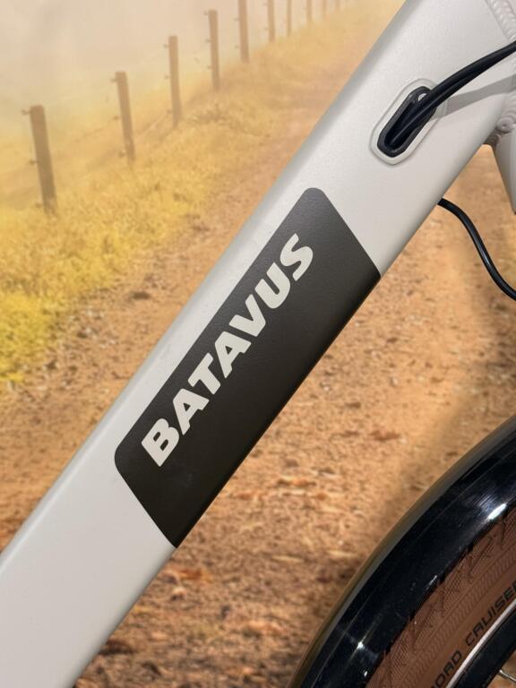 Batavus Altura image 11