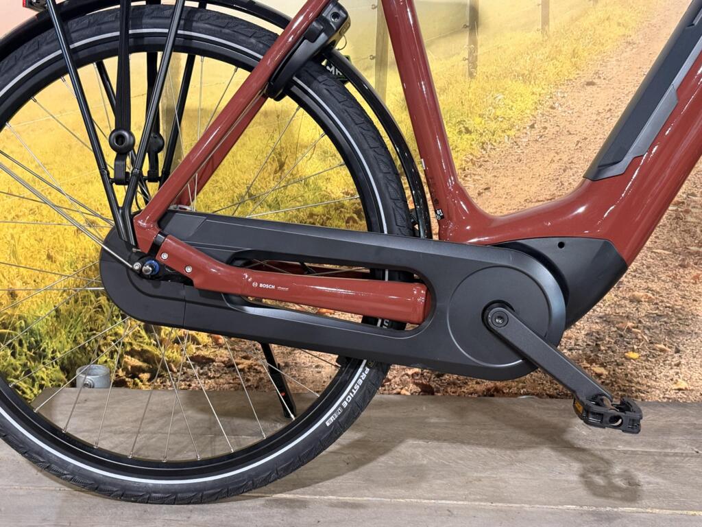 Batavus Altura image 18