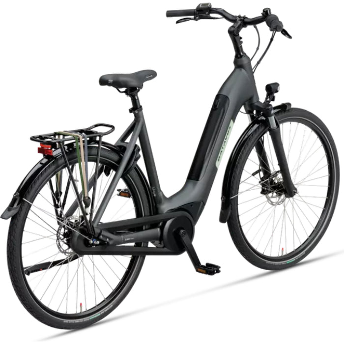 Batavus Altura image 2