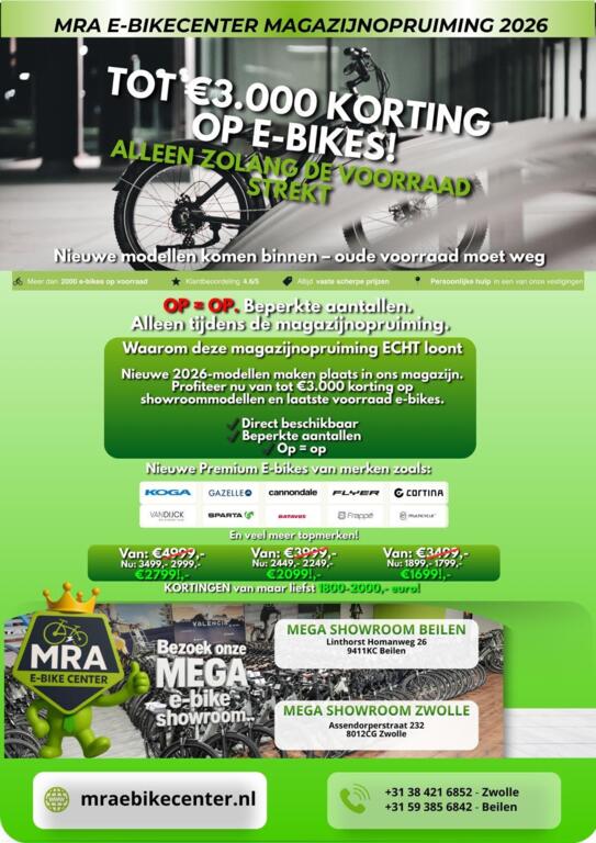 Batavus Altura image 2