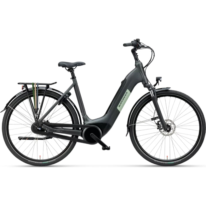 Batavus Altura image 3