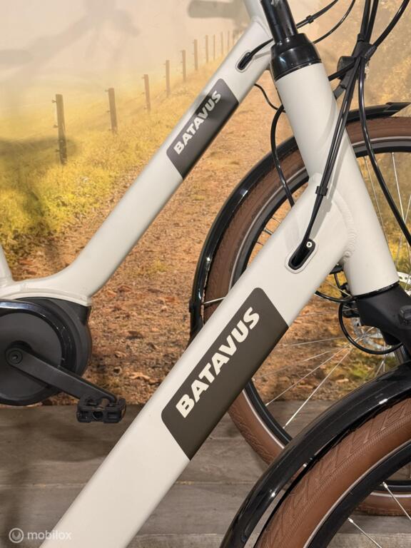 Batavus Altura image 3