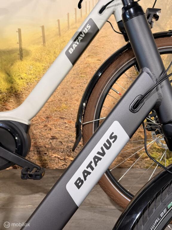 Batavus Altura image 3