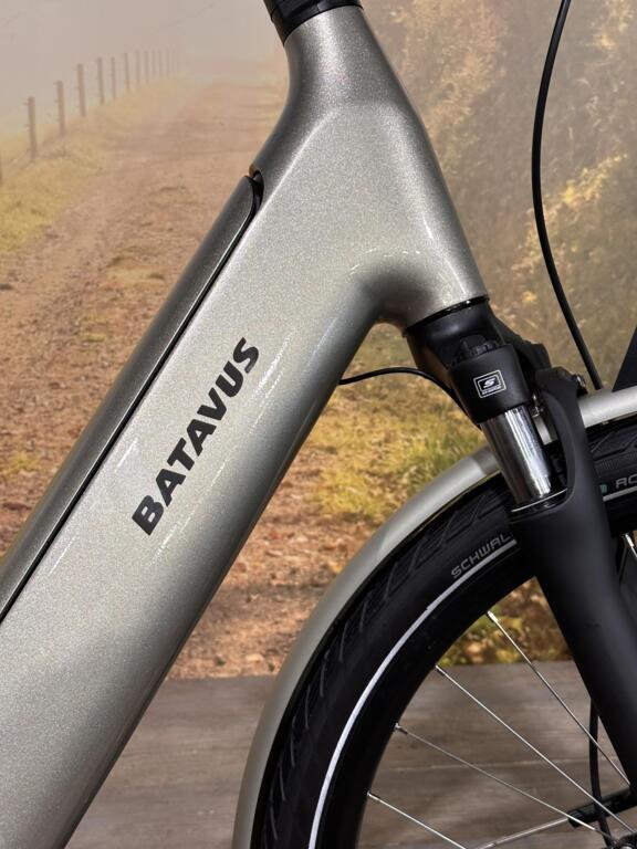 Batavus Altura image 3