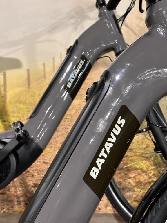 Batavus Altura image 3