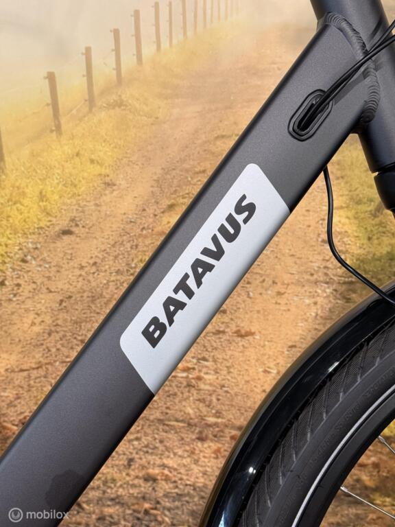 Batavus Altura image 3