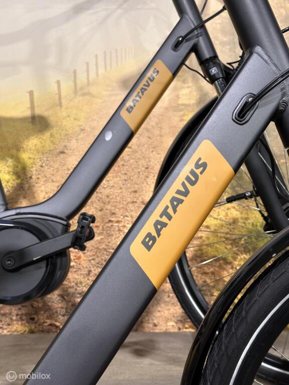 Batavus Altura image 3