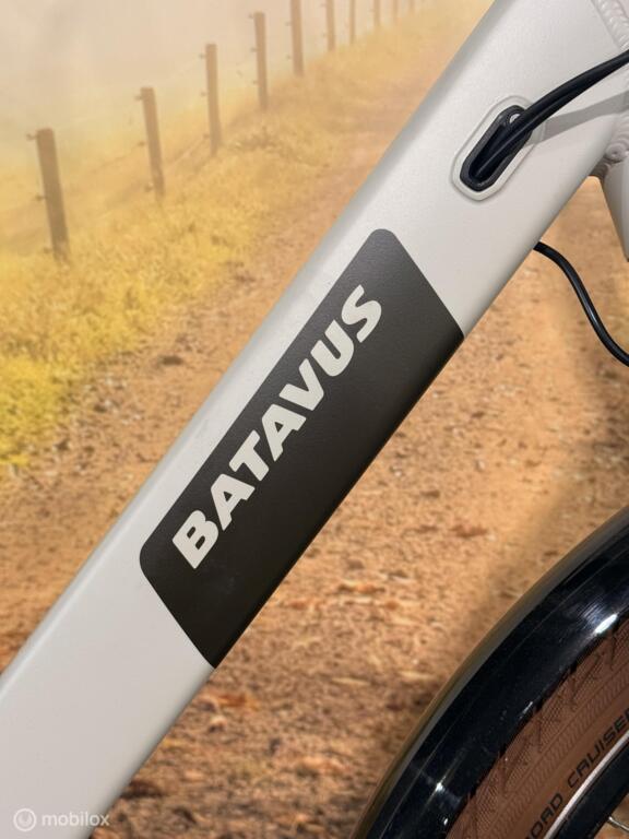 Batavus Altura image 3
