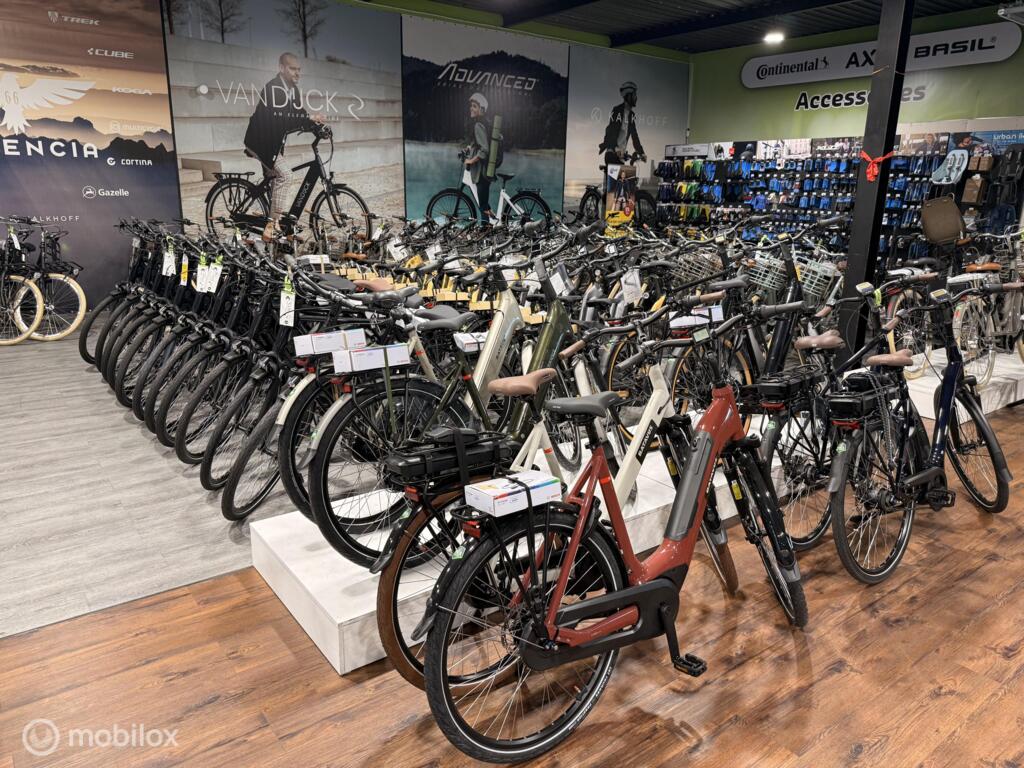 Batavus Altura image 3