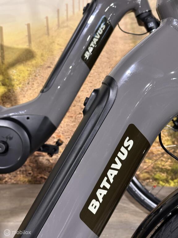 Batavus Altura image 3