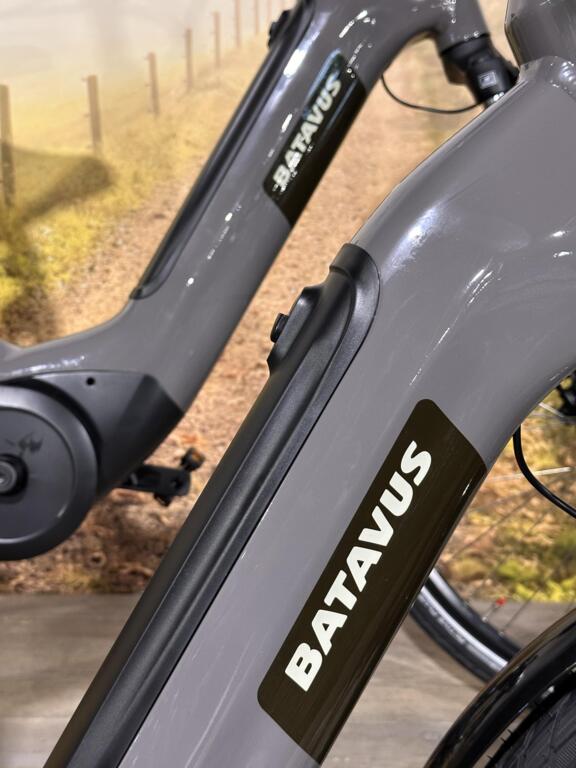 Batavus Altura image 3