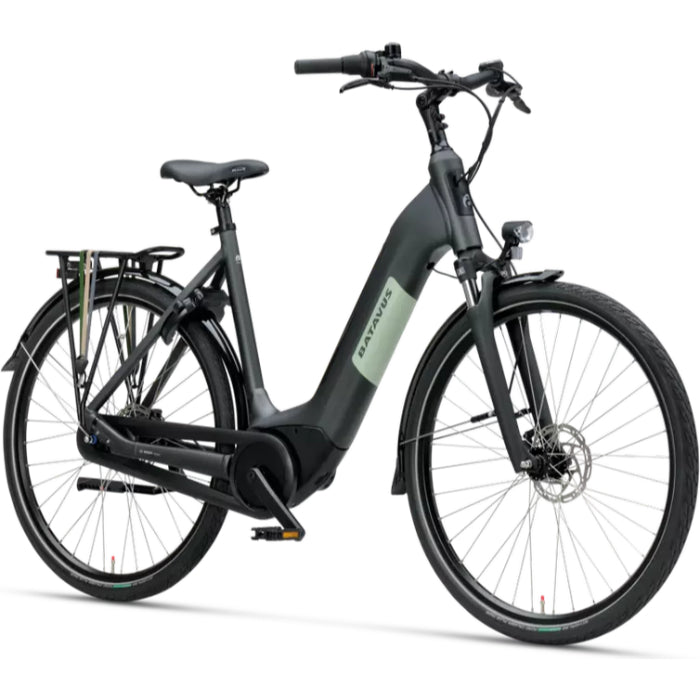 Batavus Altura image 4