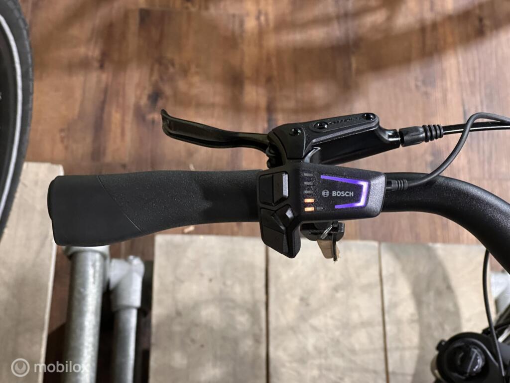 Batavus Altura image 5