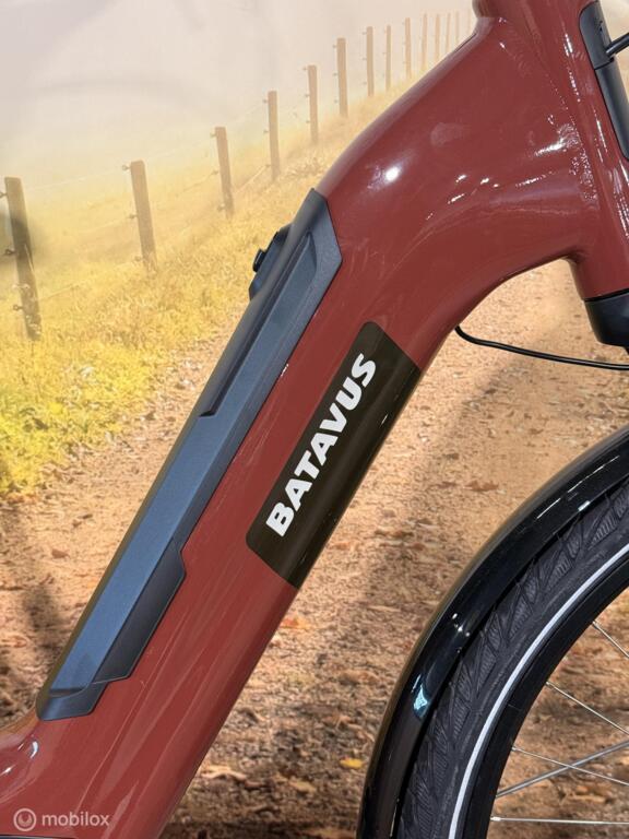 Batavus Altura image 6