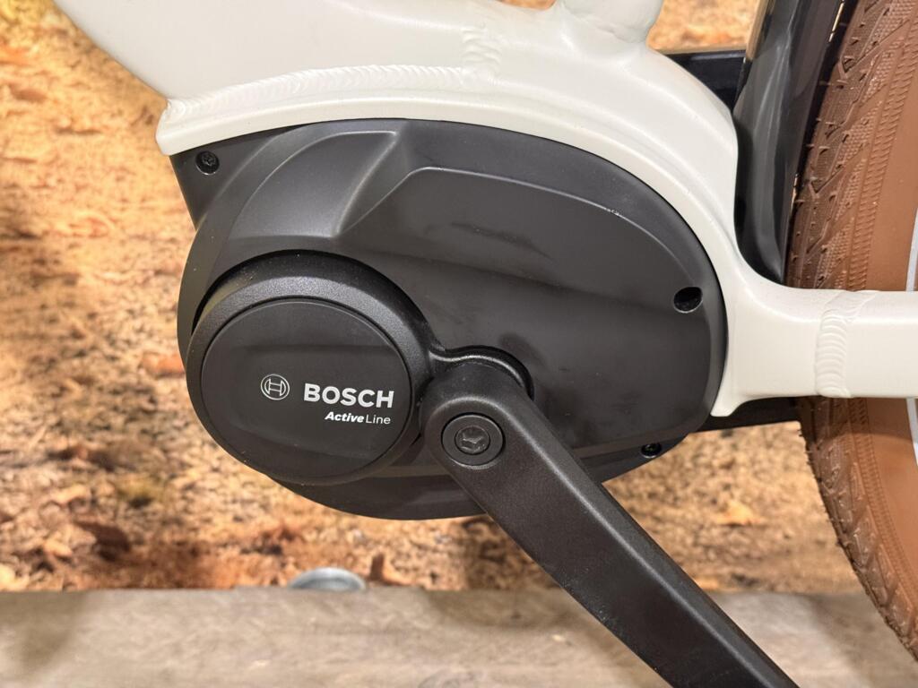 Batavus Altura image 9