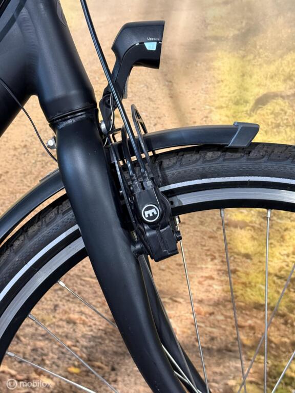 Batavus Control Ego image 11