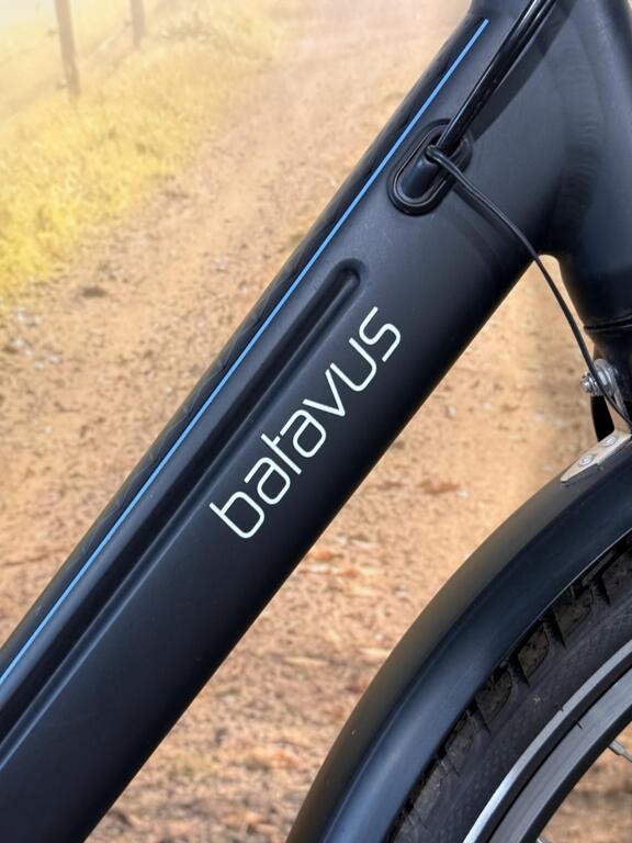 Batavus Control Ego image 2