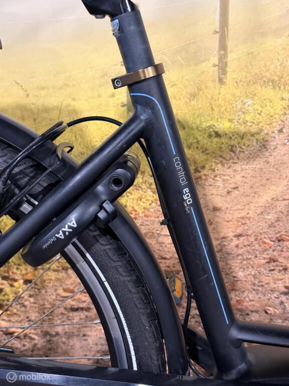 Batavus Control Ego image 4