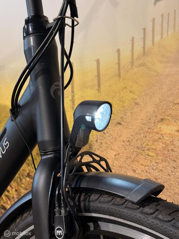 Batavus Control Ego image 7