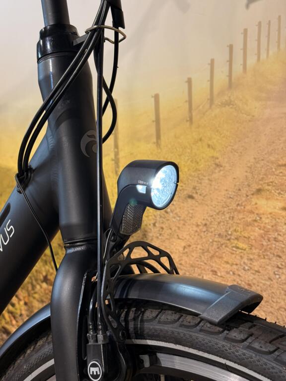 Batavus Control Ego image 7