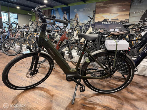 Batavus Finez image 1