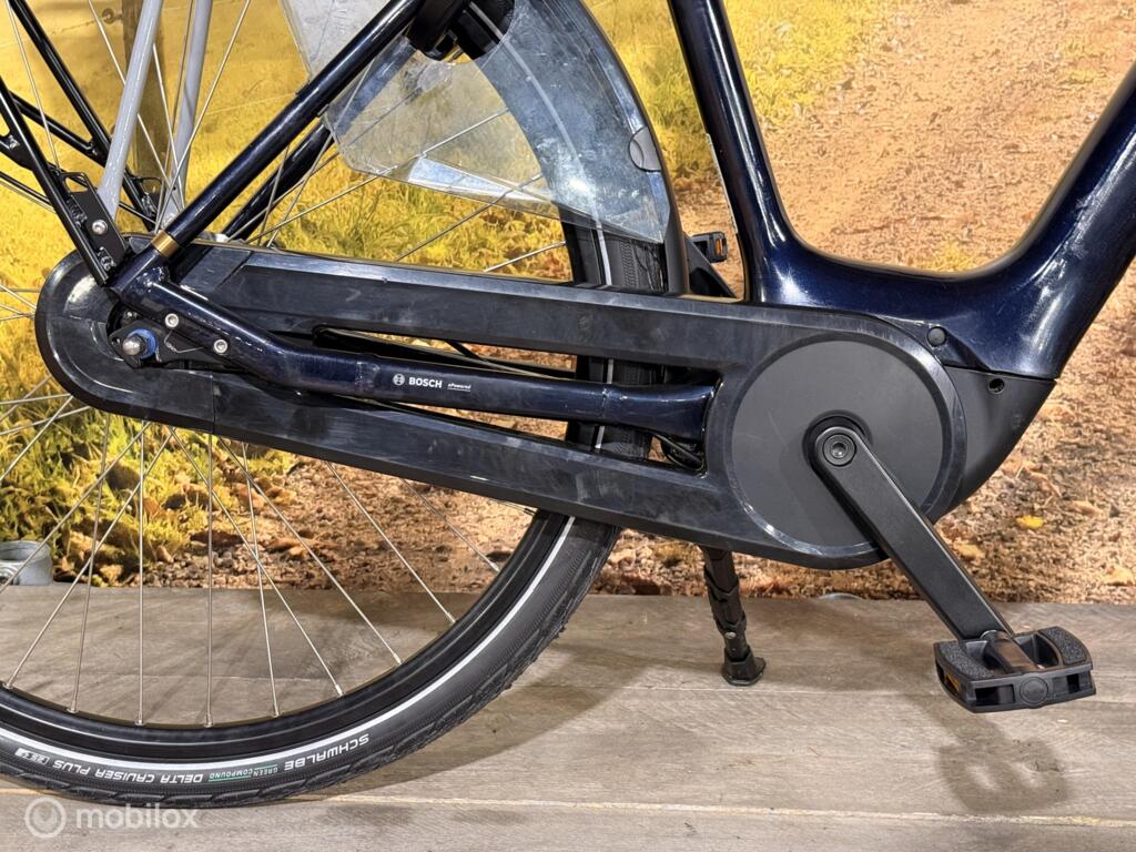 Batavus Finez image 10