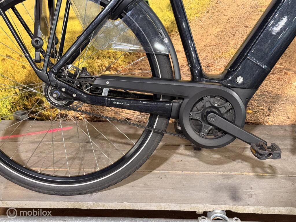 Batavus Finez image 11