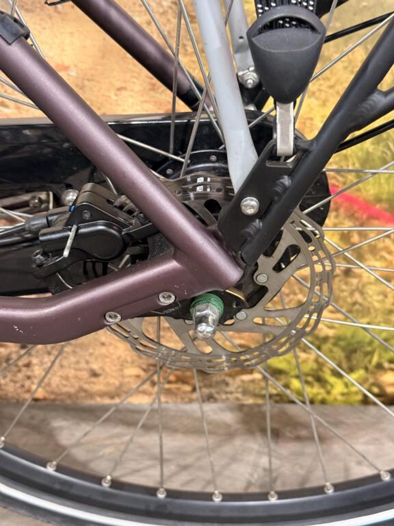 Batavus Finez image 12