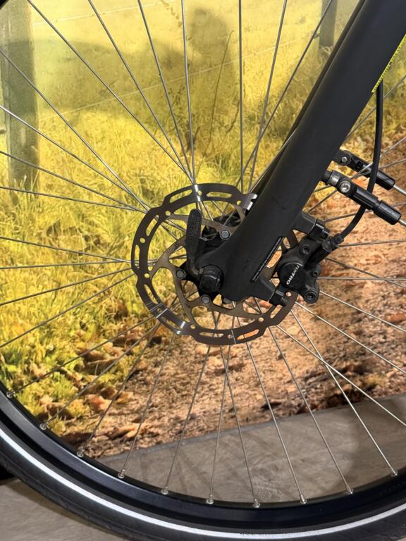 Batavus Finez image 13