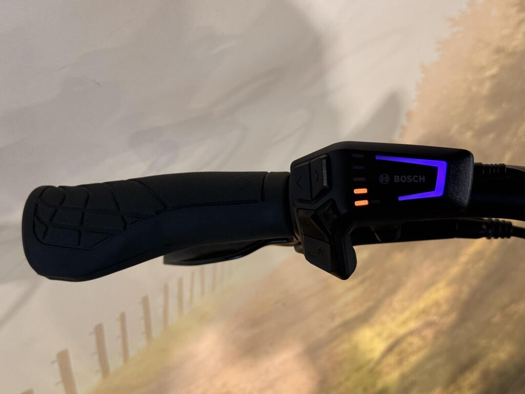 Batavus Finez image 14