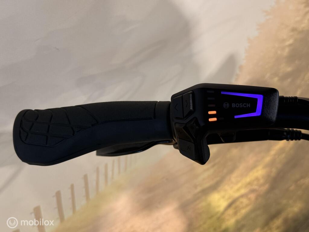 Batavus Finez image 15