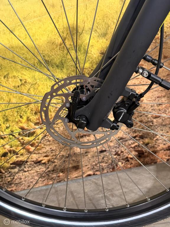 Batavus Finez image 15
