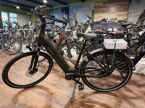 Batavus Finez image 1