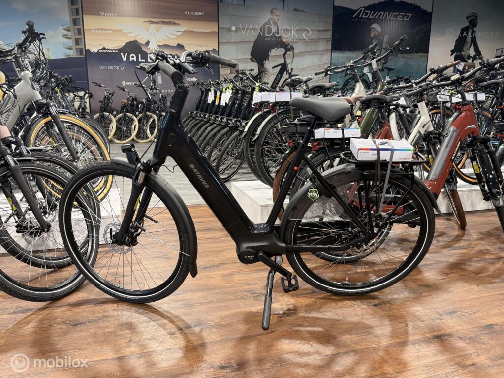 Batavus Finez image 1