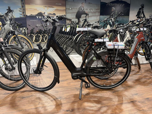 Batavus Finez image 1