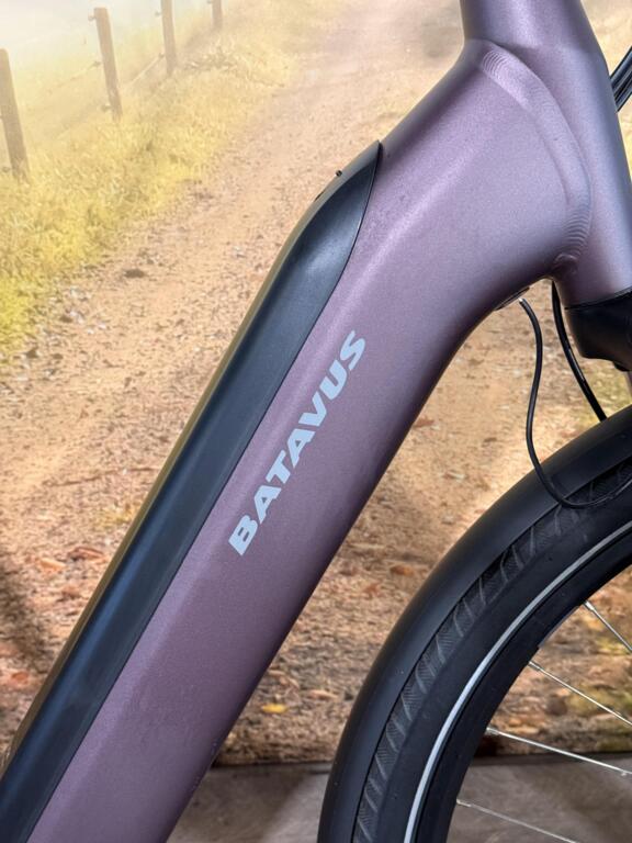 Batavus Finez image 2