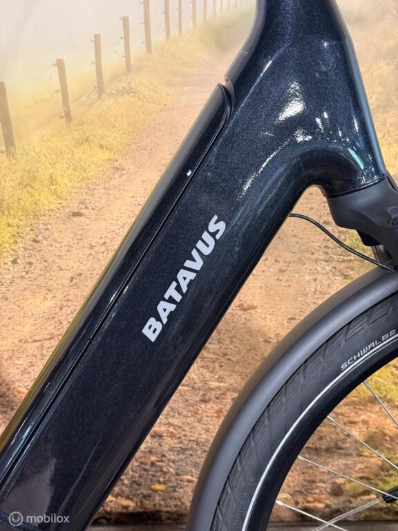 Batavus Finez image 4
