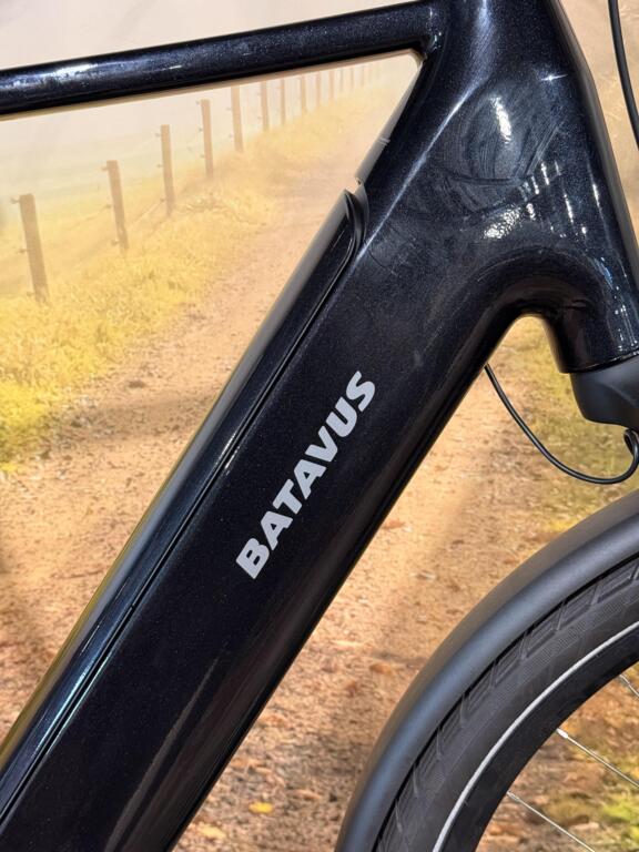 Batavus Finez image 4
