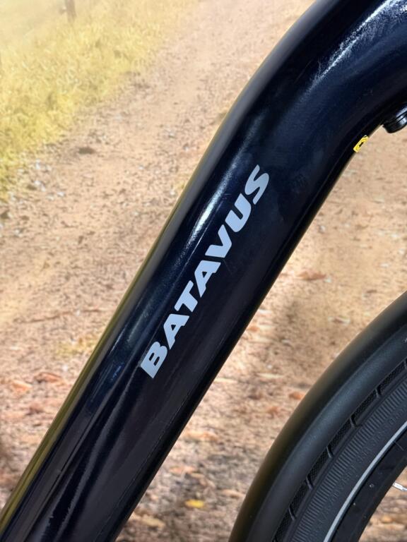 Batavus Finez image 4
