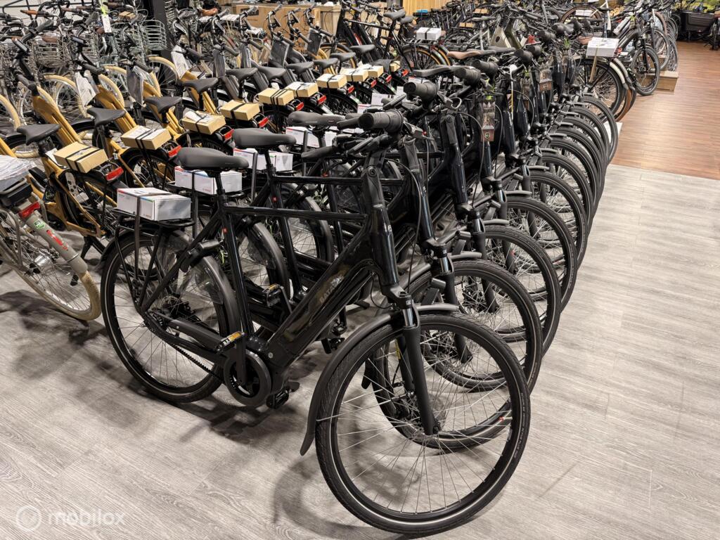 Batavus Finez image 4